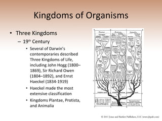 Kingdoms of Organisms Three Kingdoms 19 th  Century Several of Darwin’s contemporaries described Three Kingdoms of Life, including John Hogg (1800–1869), Sir Richard Owen (1804–1892), and Ernst Haeckel (1834-1919) Haeckel made the most extensive classification Kingdoms Plantae, Protista, and Animalia 