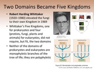 Two Domains Became Five Kingdoms Robert Harding Whittaker  (1920–1980) elevated the fungi to their own Kingdom in 1969 Whittaker’s Five Kingdoms, one for prokaryotes and four (protists, fungi, plants and animals) for eukaryotes, did not require, but fit, the two domains Neither of the domains of prokaryotes and eukaryotes are monophyletic branches of the tree of life; they are polyphyletic Figure 02: Monophyletic and polyphyletic schemes 