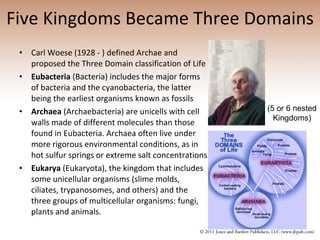 Five Kingdoms Became Three Domains Carl Woese (1928 - ) defined Archae and proposed the Three Domain classification of Life Eubacteria  (Bacteria) includes the major forms of bacteria and the cyanobacteria, the latter being the earliest organisms known as fossils Archaea  (Archaebacteria) are unicells with cell walls made of different molecules than those found in Eubacteria. Archaea often live under more rigorous environmental conditions, as in hot sulfur springs or extreme salt concentrations Eukarya  (Eukaryota), the kingdom that includes some unicellular organisms (slime molds, ciliates, trypanosomes, and others) and the three groups of multicellular organisms: fungi, plants and animals. (5 or 6 nested Kingdoms) 
