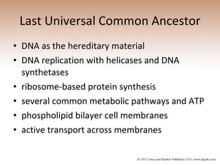 Last Universal Common Ancestor DNA as the hereditary material DNA replication with helicases and DNA synthetases ribosome-based protein synthesis several common metabolic pathways and ATP phospholipid bilayer cell membranes active transport across membranes 