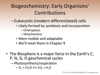Biogeochemistry: Early Organisms' Contributions Eukaryotic (modern differentiated) cells   Likely formed by symbiosis and incorporation   Chloroplasts  Mitochondria   More mobile and adaptable We’ll meet them in Chapter 9   The Biosphere is   a major force in the Earth's C, P, N, Si, O geochemical cycles  Photosynthesis/respiration  O 2  + CH 2 O ↔ CO 2  + H 2 O  