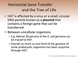 Horizontal Gene Transfer  and the Tree of Life HGT is effected by a virus or a small, circular DNA particle known as a  plasmid  that contains a foreign gene that can be transferred. Between unicellular organisms E.g. Almost 20 percent of the  E. coli  genome can be traced to HGT. Overall, as much as one third of the genome of some prokaryotic organisms has been acquired through HGT. 