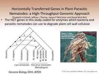 Horizontally Transferred Genes in Plant-Parasitic Nematodes: a High-Throughput Genomic Approach Elizabeth H Scholl, Jeffrey L Thorne, James P McCarter and David Mck Bird The HGT genes in this study coded for enzymes which bacteria and parasitic nematodes can use to degrade plant cell wall cellulose Genome Biology  2003,  4 :R39  