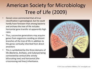 American Society for Microbiology Tree of Life (2009) Darwin once commented that all true classification is genealogical, but he could hardly have foreseen that among bacteria and archaea the tree of life includes horizontal gene transfer at apparently high rates Thus, successive generations may acquire genes from organisms residing on distant branches of the tree of life in addition to the genes vertically inherited from direct ancestors This is symbolized by the three domains of life ( Bacteria ,  Archaea , and  Eukarya ) being connected by vertical (the strictly bifurcating tree) and horizontal (the crisscrossing red lines) inheritance. 
