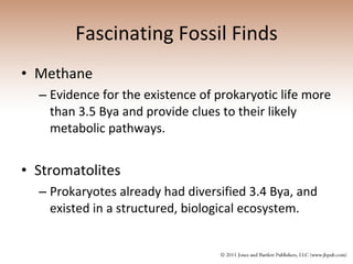 Fascinating Fossil Finds Methane Evidence for the existence of prokaryotic life more than 3.5 Bya and provide clues to their likely metabolic pathways. Stromatolites Prokaryotes already had diversified 3.4 Bya, and existed in a structured, biological ecosystem. 