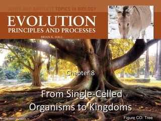 Chapter 8  From Single-Celled Organisms to Kingdoms Figure CO: Tree © Carlos Caetano/ShutterStock , Inc. 