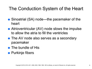The Conduction System of the Heart
 Sinoatrial (SA) node—the pacemaker of the
heart
 Atrioventricular (AV) node slows the impulse
to allow the atria to fill the ventricles
 The AV node also serves as a secondary
pacemaker
 The bundle of His
 Purkinje fibers
6
Copyright © 2019, 2015, 2011, 2006, 2003, 1999, 1995, 1991 by Mosby, an imprint of Elsevier Inc. All rights reserved.
 