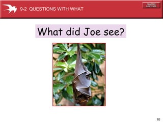 What did Joe see? 9-2  QUESTIONS WITH WHAT 
