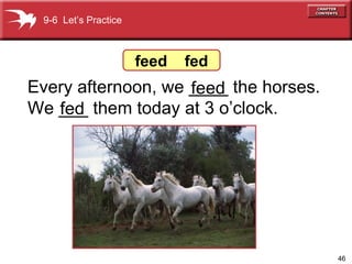 Every afternoon, we ____ the horses.  We ___ them today at 3 o’clock. fed feed 9-6  Let’s Practice feed  fed 