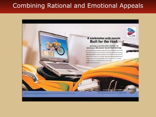 Combining Rational and Emotional Appeals 
 