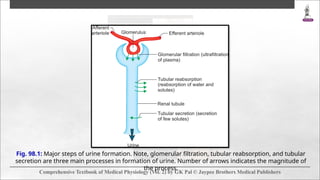 Comprehensive Mechanisms of Urine Formation and Tubular Functions in ...