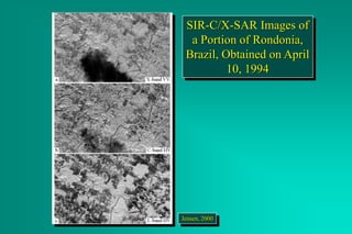 SIR-C/X-SAR Images of
a Portion of Rondonia,
Brazil, Obtained on April
10, 1994
Jensen, 2000
 