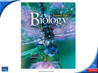 Biology Copyright Pearson Prentice Hall 