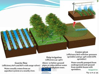 Fig. 13-20, p. 335
Stepped Art
Gravity flow
(efficiency 60% and 80% with surge valves)
Water usually comes from an
aqueduct system or a nearby river.
Drip irrigation
(efficiency 90–95%)
Above- or below-ground
pipes or tubes deliver water
to individual plant roots.
Center pivot
(efficiency 80% with low-pressure
sprinkler and 90–95% with LEPA
sprinkler)
Water usually pumped from
underground and sprayed
from mobile boom with
sprinklers.
 