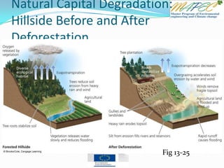 Natural Capital Degradation:
Hillside Before and After
Deforestation
Fig 13-25
 