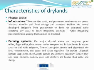 Characteristics of drylands
 Physical capital
 Infrastructure There are few roads, and permanent settlements are sparse.
Markets, abattoirs and food storage and transport facilities are poorly
developed. Irrigation from groundwater or dams has converted some
otherwise dry areas to more productive cropland – while preventing
pastoralists from grazing their animals on this land.
 Farming systems The major dryland crops are sorghum, pearl
millet, finger millet, short-season maize, cowpeas and haricot beans. In wetter
areas or land with irrigation, farmers also grow cassava and pigeonpeas for
local consumption, and beans and Asian vegetables for export. Livestock
herders keep cattle, sheep, goats, camels and donkeys; sedentary farmers may
also keep chickens. Camels, goats and donkeys are hardier than cattle and
sheep.
 