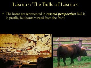 Lascaux: The Bulls of Lascaux The horns are represented in  twisted perspective:  Bull is in profile, but horns viewed from the front. 