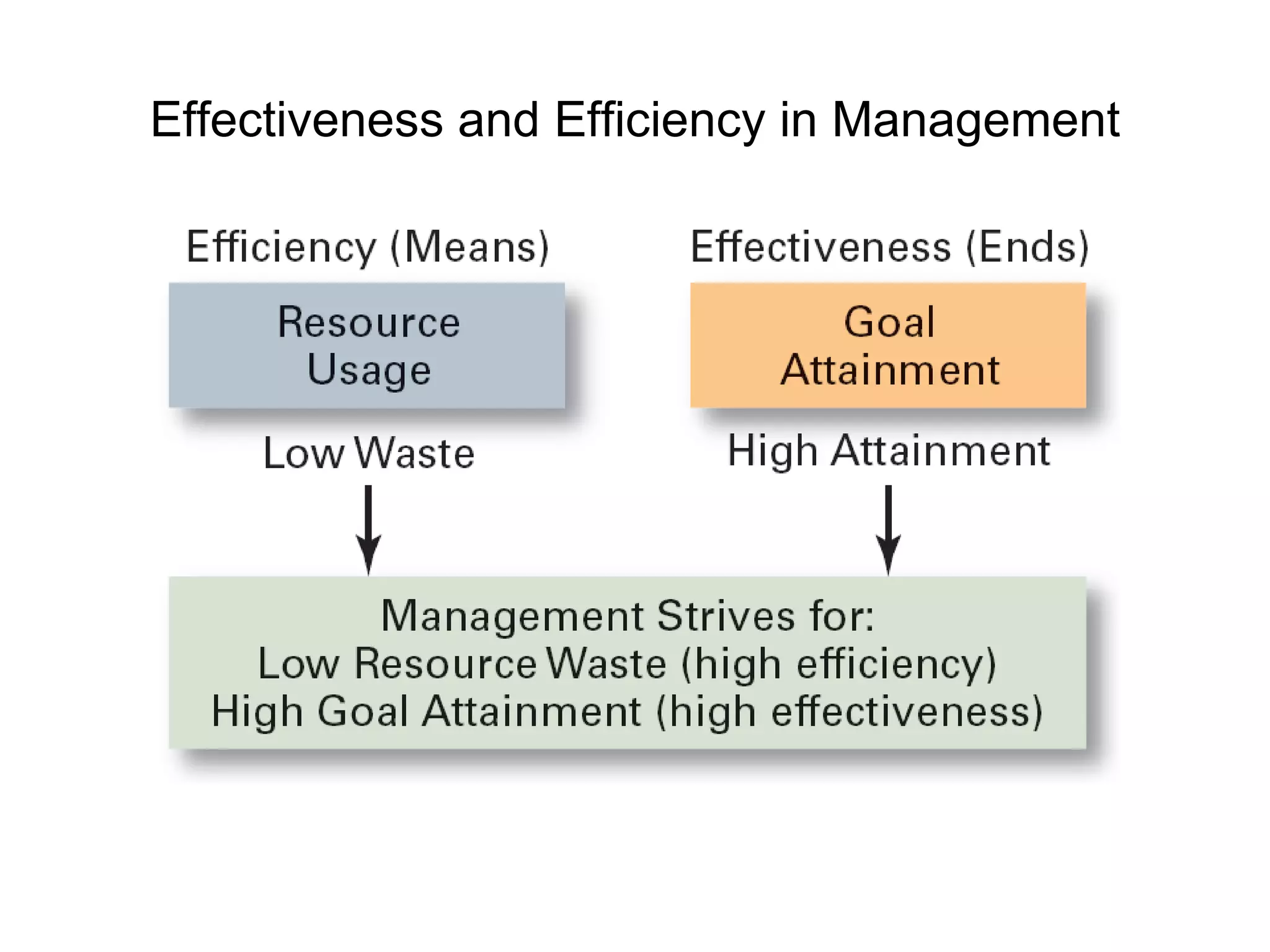 Effectiveness and Efficiency in Management 