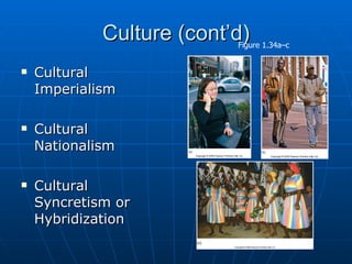 Culture (cont’d) Cultural Imperialism Cultural Nationalism Cultural Syncretism or Hybridization Figure 1.34a–c 