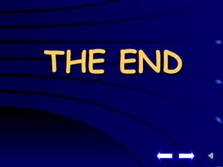 THE END 