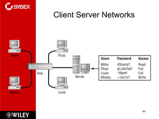 Client Server Networks 