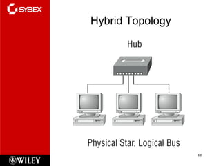 Hybrid Topology 