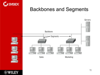 Backbones and Segments 
