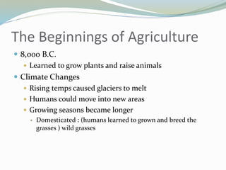 The Beginnings of Agriculture
 8,000 B.C.
 Learned to grow plants and raise animals
 Climate Changes
 Rising temps caused glaciers to melt
 Humans could move into new areas
 Growing seasons became longer
 Domesticated : (humans learned to grown and breed the
grasses ) wild grasses
 
