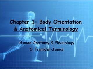 Chapter 1: Body Orientation & Anatomical Terminology Human Anatomy & Physiology S. Franklin-Jones 