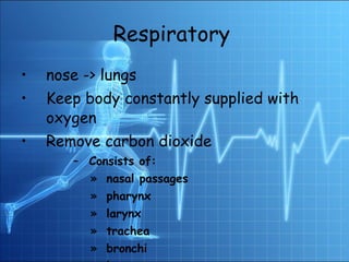 Respiratory   nose -> lungs Keep body constantly supplied with oxygen Remove carbon dioxide Consists of: nasal passages  pharynx  larynx trachea  bronchi  lungs 