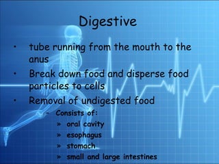 Digestive   tube running from the mouth to the anus Break down food and disperse food particles to cells  Removal of undigested food Consists of: oral cavity esophagus  stomach small and large intestines rectum 