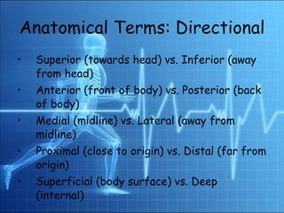 Anatomical Terms: Directional   Superior (towards head) vs. Inferior (away from head) Anterior (front of body) vs. Posterior (back of body) Medial (midline) vs. Lateral (away from midline) Proximal (close to origin) vs. Distal (far from origin) Superficial (body surface) vs. Deep (internal) 