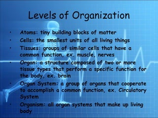 Levels of Organization Atoms: tiny building blocks of matter Cells: the smallest units of all living things Tissues: groups of similar cells that have a common function, ex. muscle, nerves Organ: a structure composed of two or more tissue types that perform a specific function for the body, ex. brain Organ System: a group of organs that cooperate to accomplish a common function, ex. Circulatory System Organism: all organ systems that make up living body 
