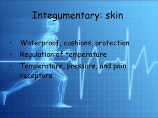 Integumentary: skin   Waterproof, cushions, protection Regulation of temperature Temperature, pressure, and pain receptors 