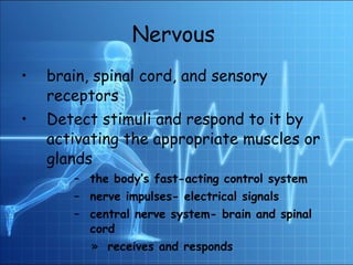 Nervous   brain, spinal cord, and sensory receptors Detect stimuli and respond to it by activating the appropriate muscles or glands the body’s fast-acting control system nerve impulses- electrical signals central nerve system- brain and spinal cord receives and responds 