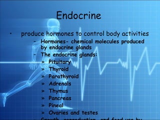 Endocrine   produce hormones to control body activities  Hormones- chemical molecules produced by endocrine glands The endocrine glands: Pituitary Thyroid Parathyroid Adrenals Thymus Pancreas Pineal  Ovaries and testes Growth, reproduction, and food use by cells are controlled by hormones. 