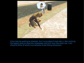 Circe may be waiting to retaliate, but it sure doesn't look like it. She come by the legacy daily to steal the newspaper and kick over the trash can. I am afraid to think of what Circe believes to be fitting retribution. 