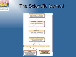 The Scientific Method 