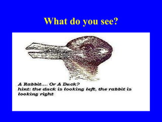 What do you see? 