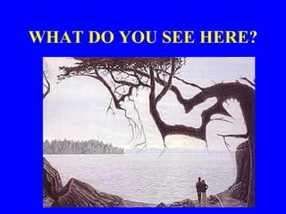 WHAT DO YOU SEE HERE? 
