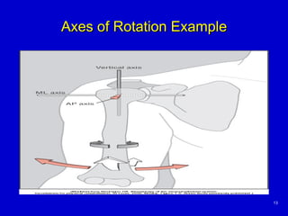 Axial Rotation Process Basic Principles of Kinesiology | PPT