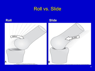Slide Roll Algorithm Basic Principles of Kinesiology | PPT