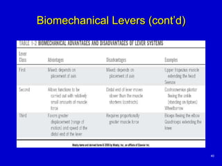 Biomechanical Levers (cont’d) 