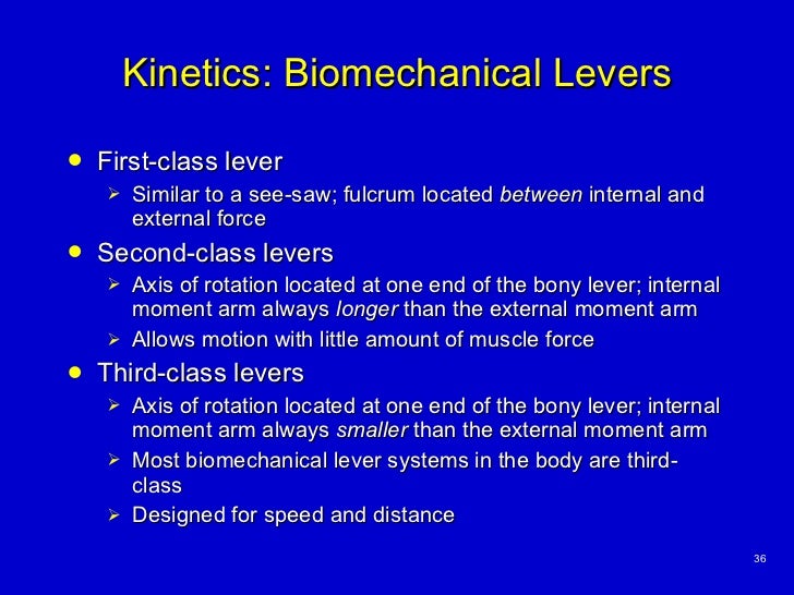 Basic Principles of Kinesiology