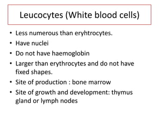 Leucocytes (White blood cells)
• Less numerous than eryhtrocytes.
• Have nuclei
• Do not have haemoglobin
• Larger than erythrocytes and do not have
  fixed shapes.
• Site of production : bone marrow
• Site of growth and development: thymus
  gland or lymph nodes
 
