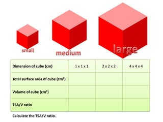 Dimension of cube (cm)             1x1x1   2x2x2   4x4x4


Total surface area of cube (cm2)


Volume of cube (cm3)


TSA/V ratio

Calculate the TSA/V ratio.
 