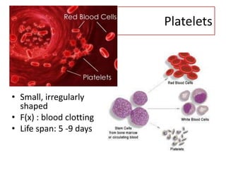 Platelets




• Small, irregularly
  shaped
• F(x) : blood clotting
• Life span: 5 -9 days
 