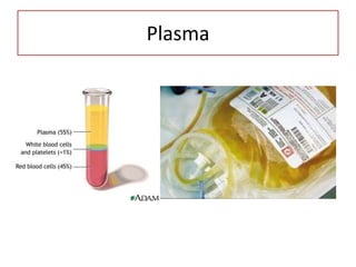 Plasma
 