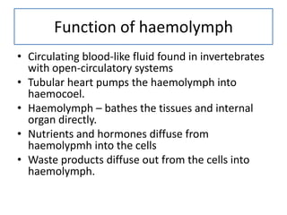 Function of haemolymph
• Circulating blood-like fluid found in invertebrates
  with open-circulatory systems
• Tubular heart pumps the haemolymph into
  haemocoel.
• Haemolymph – bathes the tissues and internal
  organ directly.
• Nutrients and hormones diffuse from
  haemolypmh into the cells
• Waste products diffuse out from the cells into
  haemolymph.
 