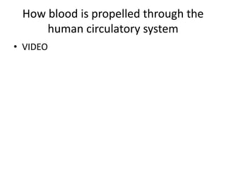 How blood is propelled through the
     human circulatory system
• VIDEO
 